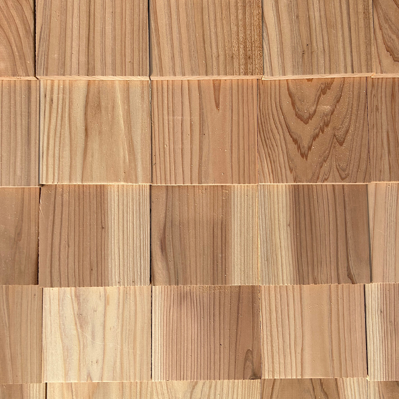 Kayap Kayu Sugi Jepun