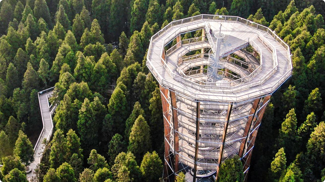 Gunung Xiannv - Tree Top Walk, Chongqing